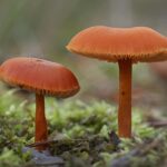 d&eacute;couvrez comment optimiser votre sales funnel pour convertir efficacement vos prospects en clients et augmenter vos ventes.