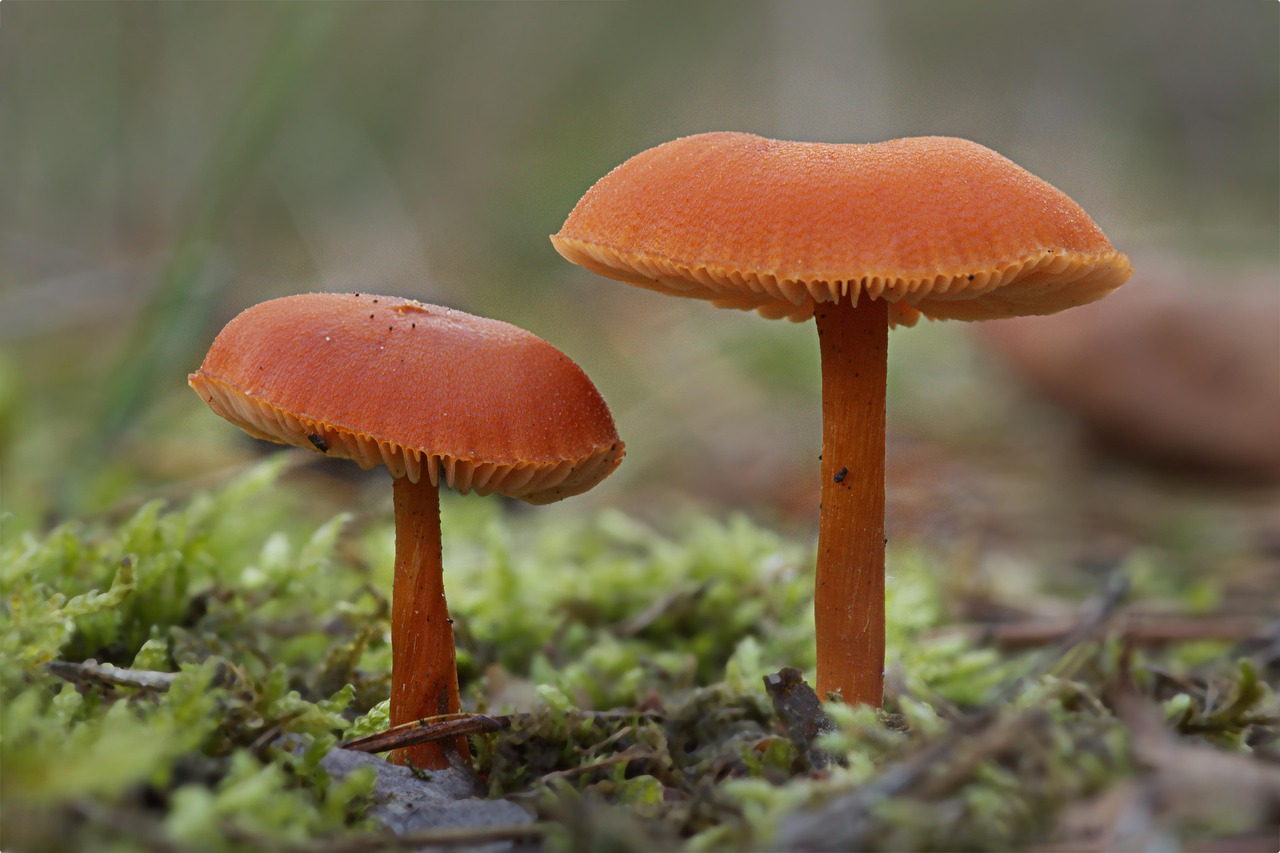 d&eacute;couvrez comment optimiser votre sales funnel pour convertir efficacement vos prospects en clients et augmenter vos ventes.