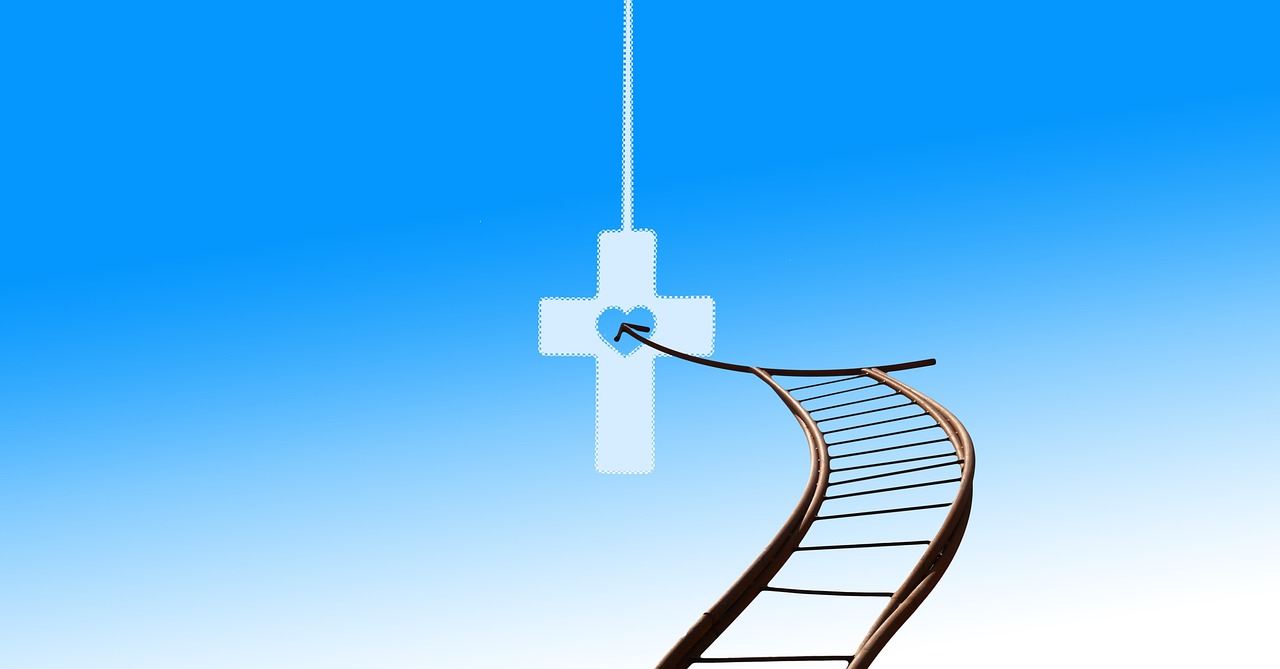 d&eacute;couvrez comment r&eacute;ussir votre transition de carri&egrave;re gr&acirc;ce &agrave; nos conseils pratiques, ressources et accompagnement personnalis&eacute; pour un nouveau d&eacute;part professionnel.