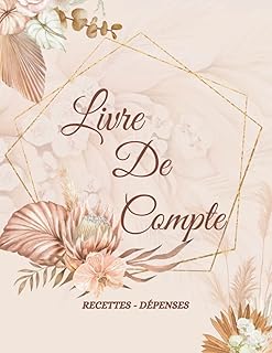 Livre de Compte Recette Depense: Cahier Recettes Dépenses Auto Entrepreneur et Registre de Comptabilité, Micro Entrepreneur, Micro Entreprise
